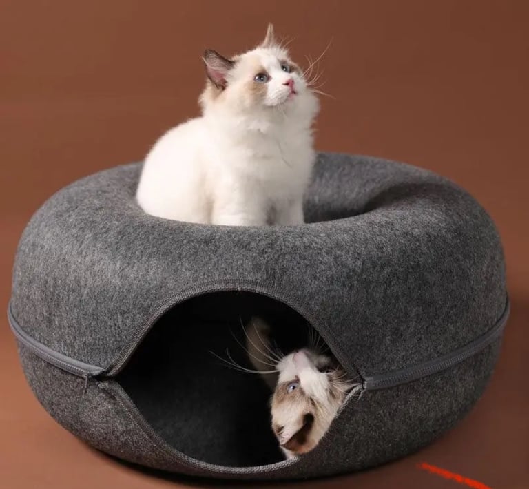 Cat tunnel bed 
