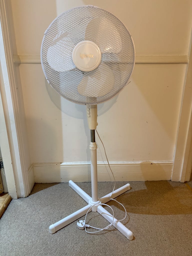 image for Fan 