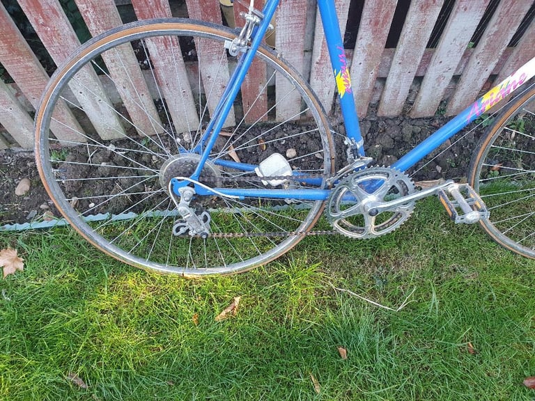 A Vintage Hawk racing bike