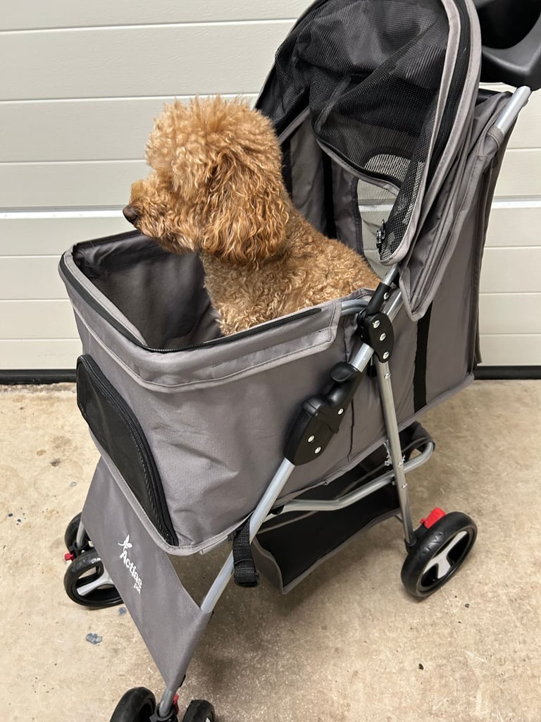 Pet Stroller,  Pet Buggy