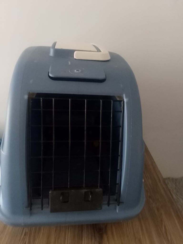 Cat travel carrier with storage 