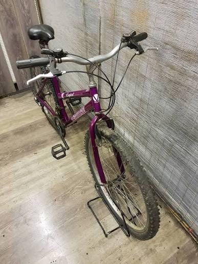 image for VENTURE CRYSTAL GREAT FOR STUDENTS LADIES BIKE 