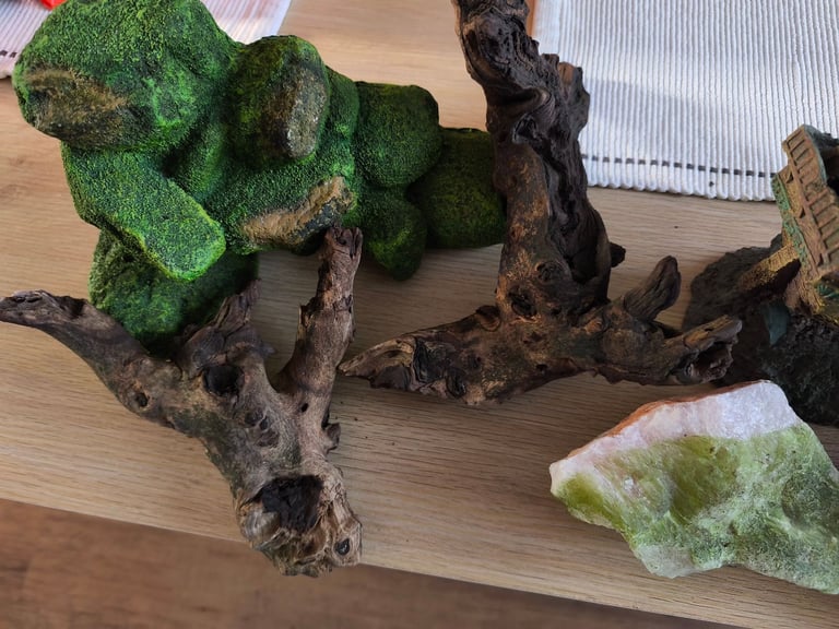 🐠 Complete 100L Aquarium with Light, Filter & Decorations – Ready to Use!