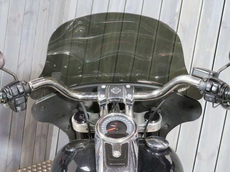 2019 19 HARLEY-DAVIDSON SOFTAIL FLSB SPORT GLIDE 1745