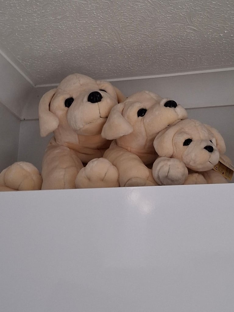 Set of 3 Gorgeous Cuddly Dogs