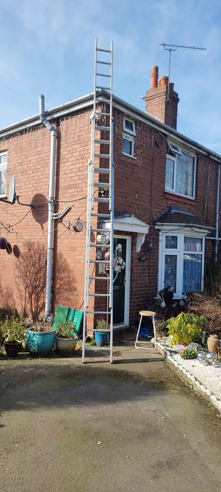 image for Extension ladder 