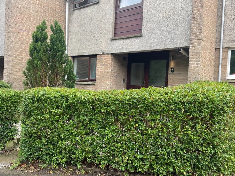 Cozy Single Bedroom Available Now for £300