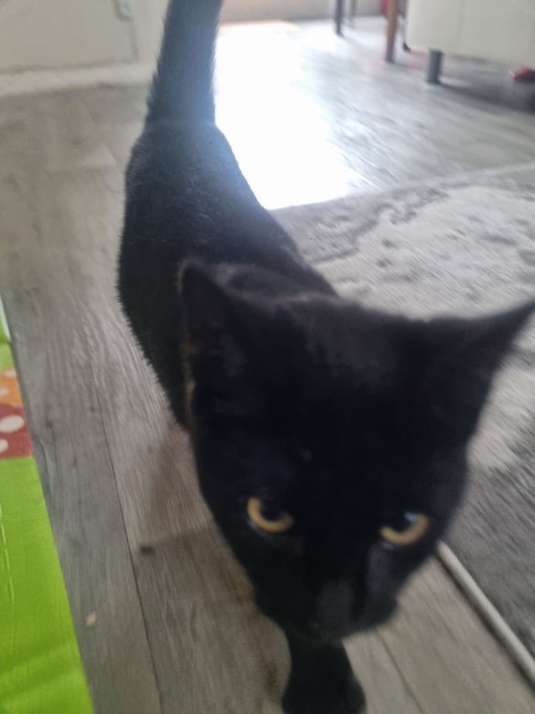 RESERVED. 6 months old. 