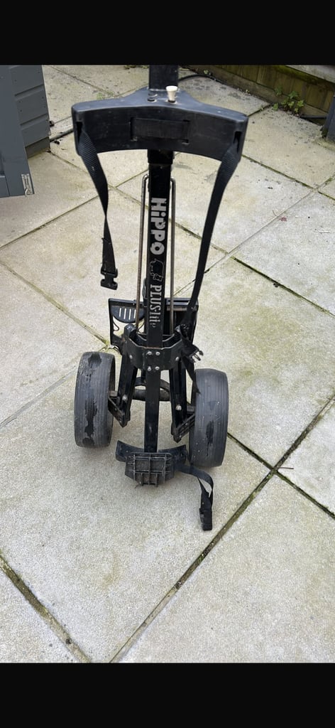 Golf clubs & Trolly, Stored in garage for 2yrs so need cleaning