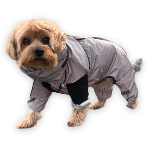 Waterproof all in one dog jackets 
