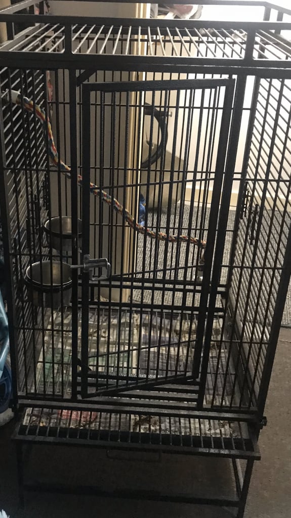 Large bird cage 