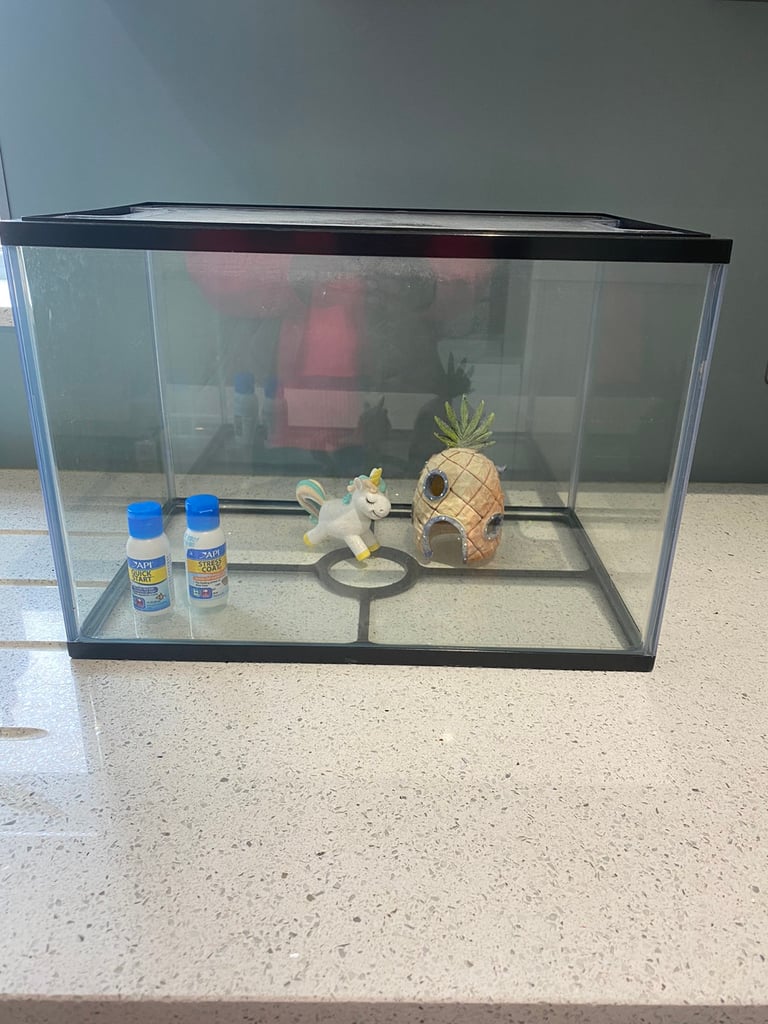 Kids fish tank