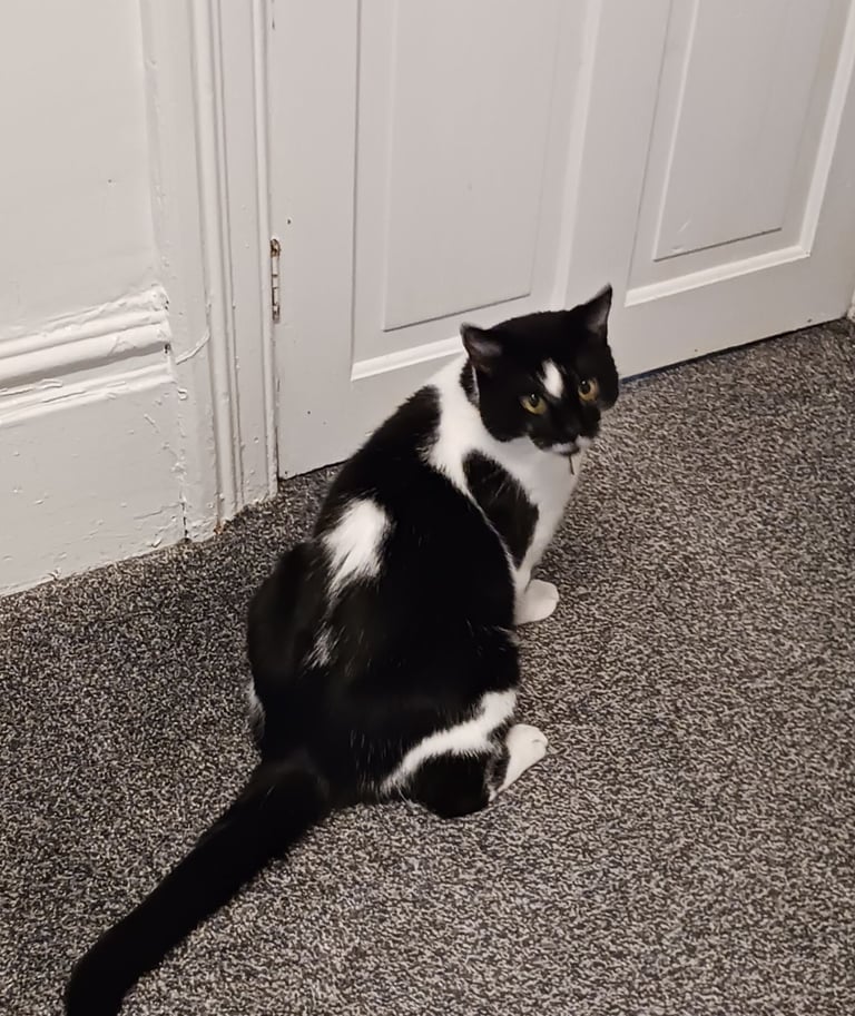 Forever home required