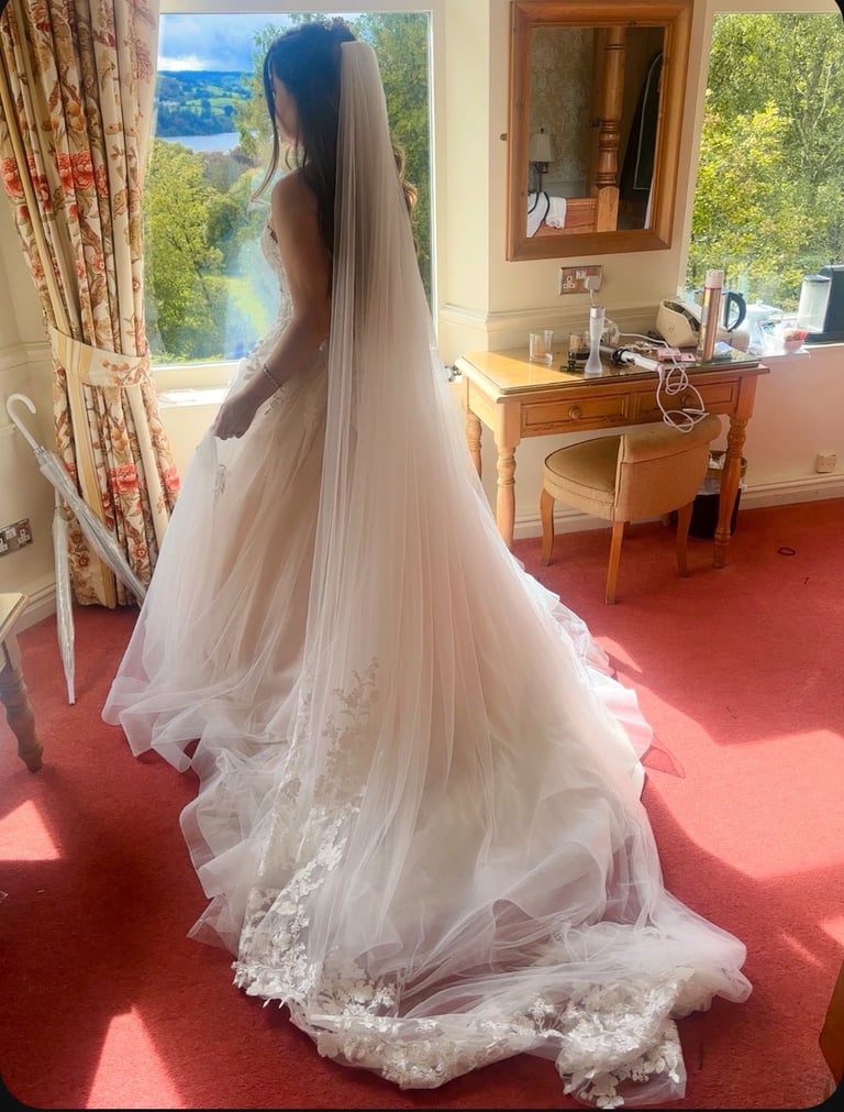 Dream Wedding Dress + Long Veil + Petticoat