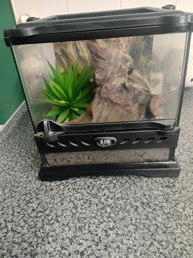 image for Exo terra nano glass terrarium 