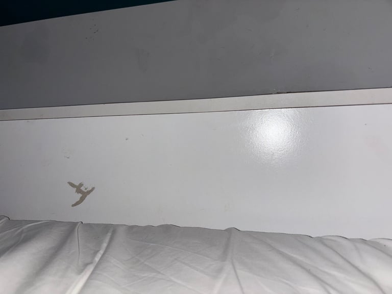 Bunkbed with shelves 