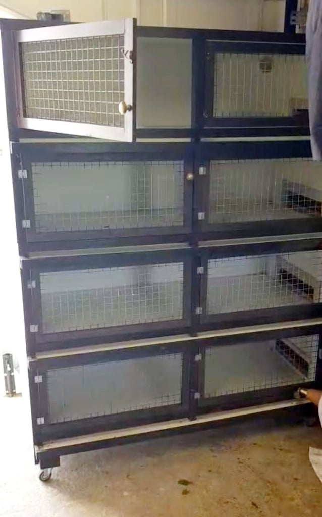 4 Tier Quail cages in excellent condition 