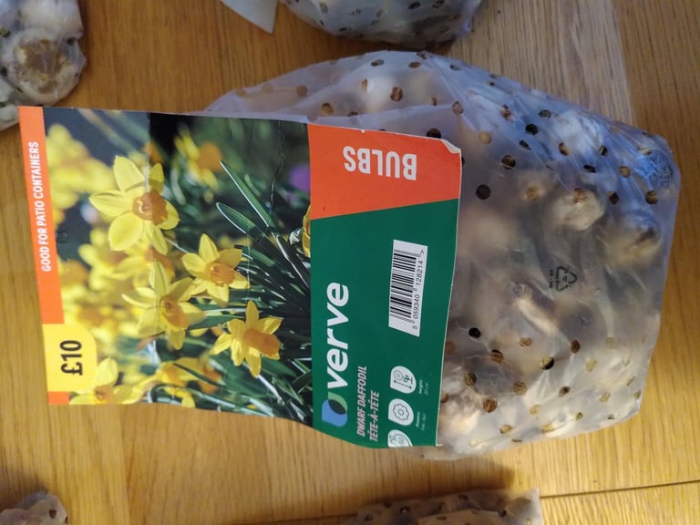 Daffodil, Crocus, & Allium bulbs 