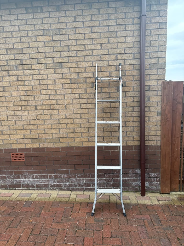 Three Way Ladder