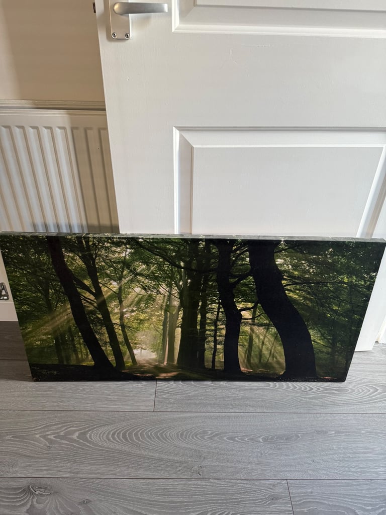 image for Wall canvas picture 