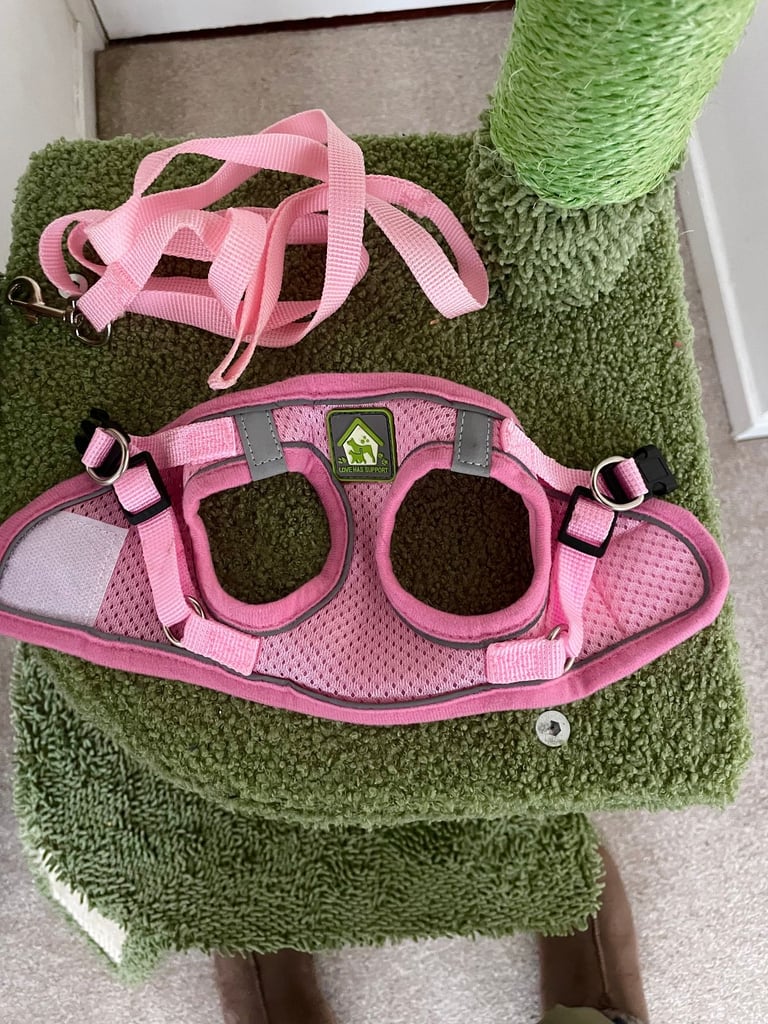 Cat Tree, Cat Carrier, XS harnes/lead, tunnel