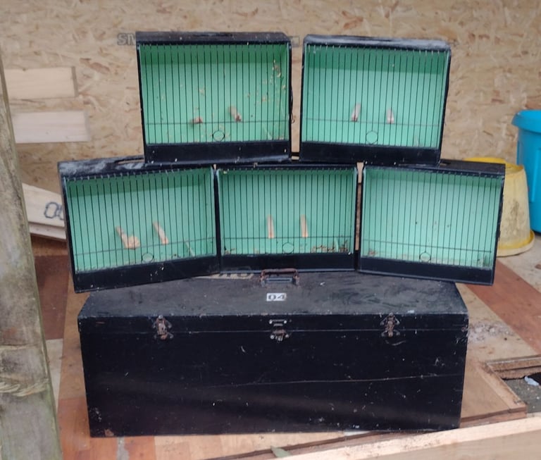 Gloster Canary show cages 
