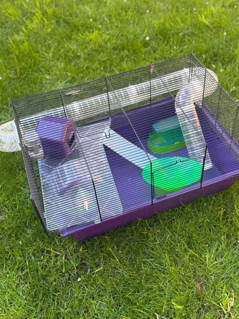 Hamster cage with accessories 