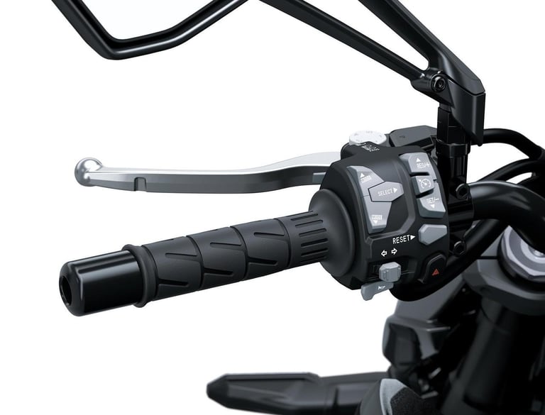 NEW 2026 Kawasaki Z1100 Motorcycle Due Jan Order Yours NOW!