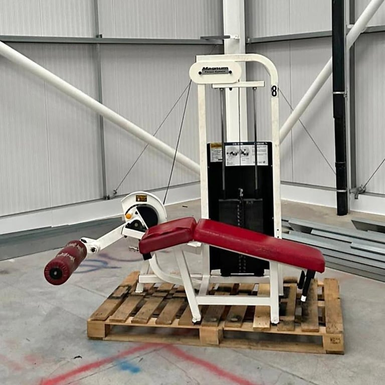 image for Magnum Lying Leg Curl