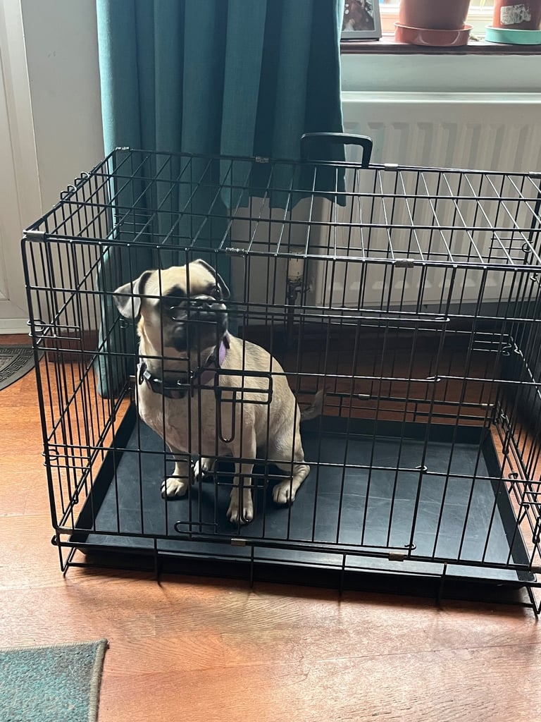 Medium size Dog cage