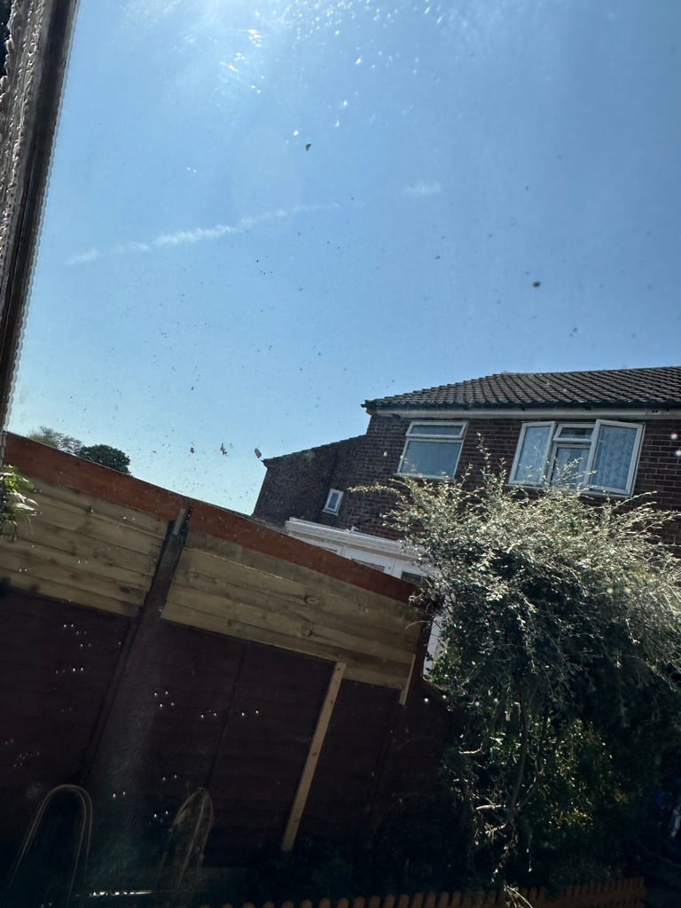 Wonderful French Antique 19th Century Carved Mirror 71X120cm– Great Condition