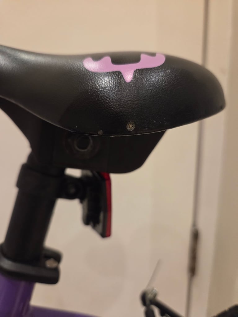 Children's Wild Bike, 18 inch