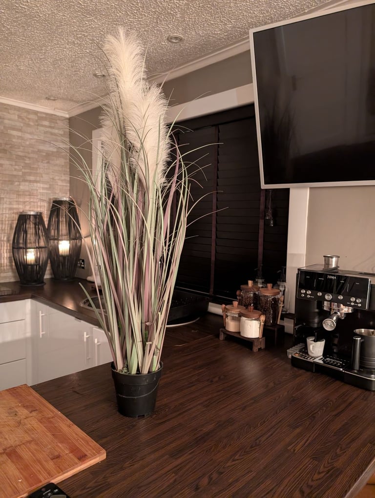 Free Glasgow delivery.....100cm artificial pampus grass plant. paid £50 almost