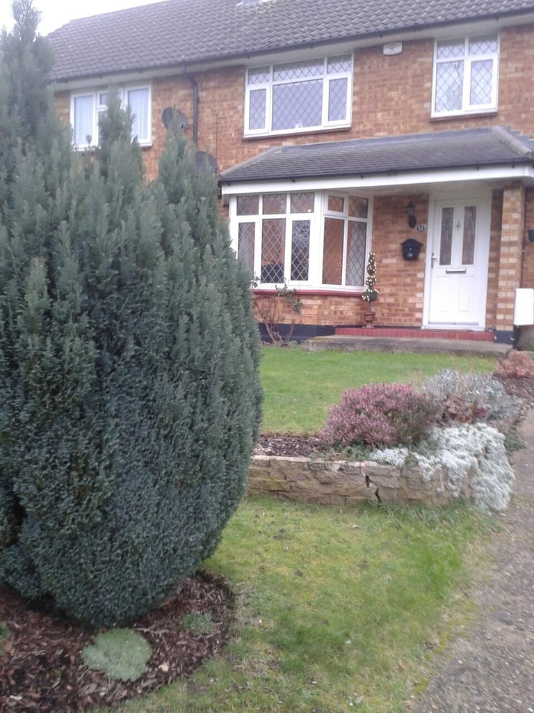 3 Bed room semi-detached property to rent 