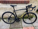 Trek Domane AL 2 Road Bike