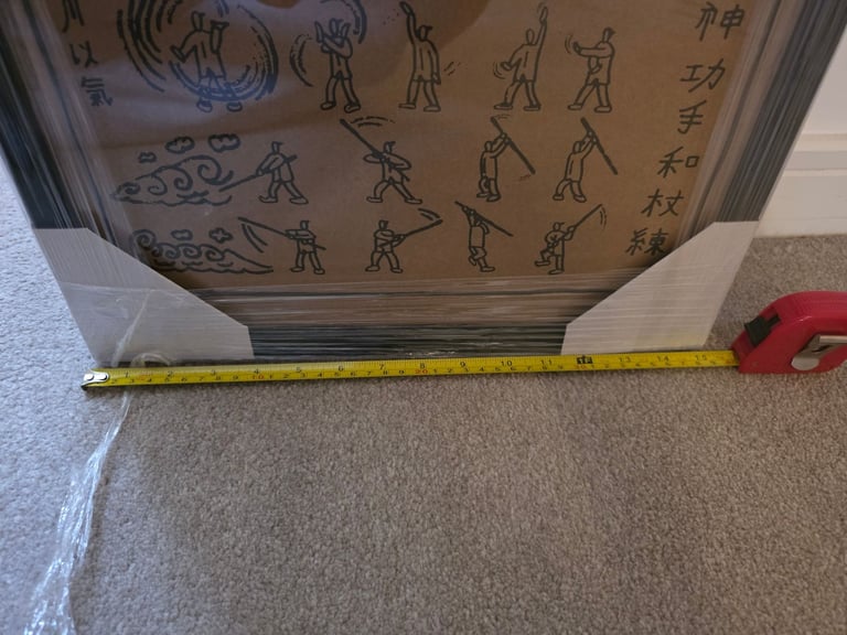 Avatar the last airbender professionally framed artwork