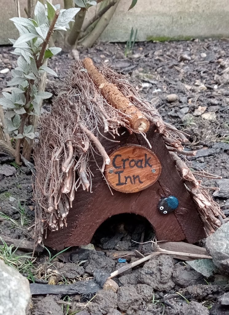 image for Frog house  ( Croak Inn )  --LAST ONE--