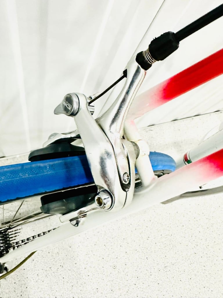 BOTTECHIA Size/L Super LW Road Bike  12 Speed 700c Wheels