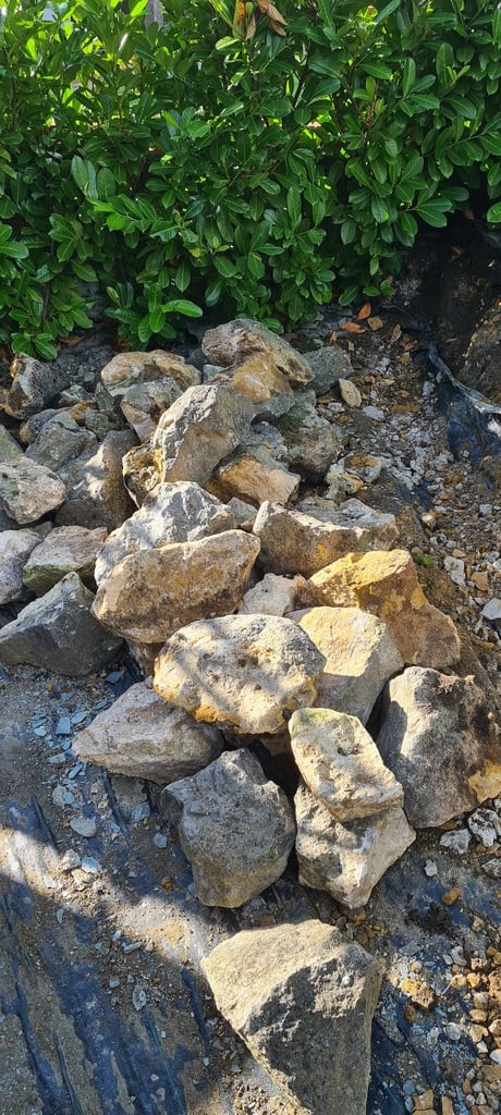 image for Rockery Rocks