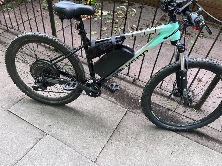 Polygon electric bike