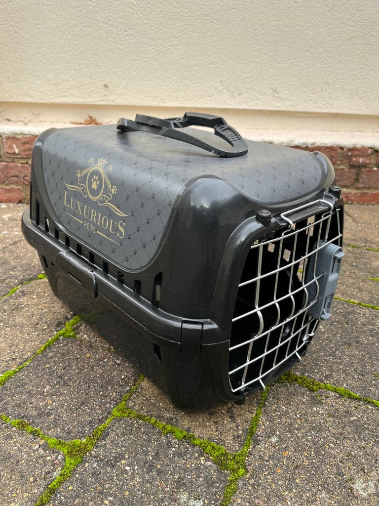 Travel basket for small cat