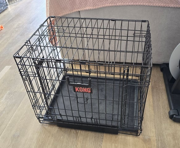 Kong Dog Medium Dog Kennel Kong Intermediate Dog Crate Kong Space