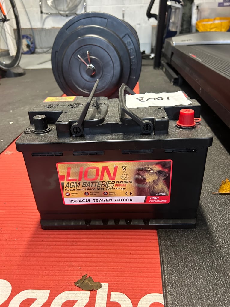 Lion car battery