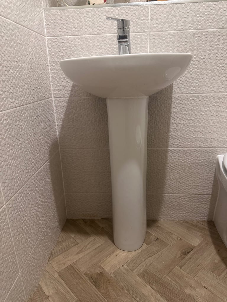 Roca cloakroom Basin and pedestal