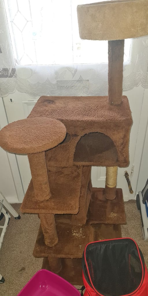 Cat tree and accessories for kittens