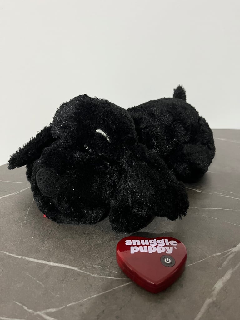 Snuggle puppy heartbeat toy