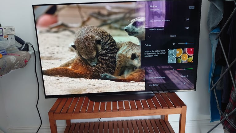 Sony KD-48A9 48-inch 4K HDR OLED Android TV (What Hi-Fi Award winning TV)