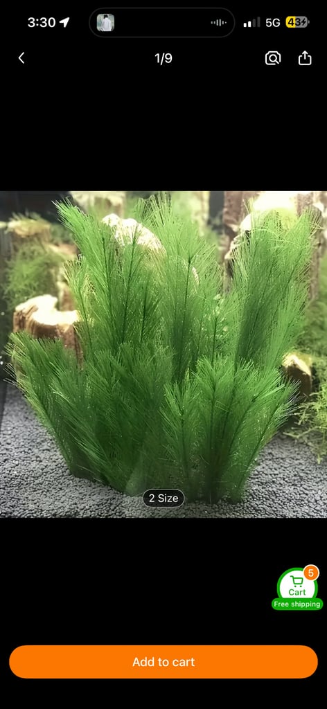 All plants are available for sale just message me which ones you want