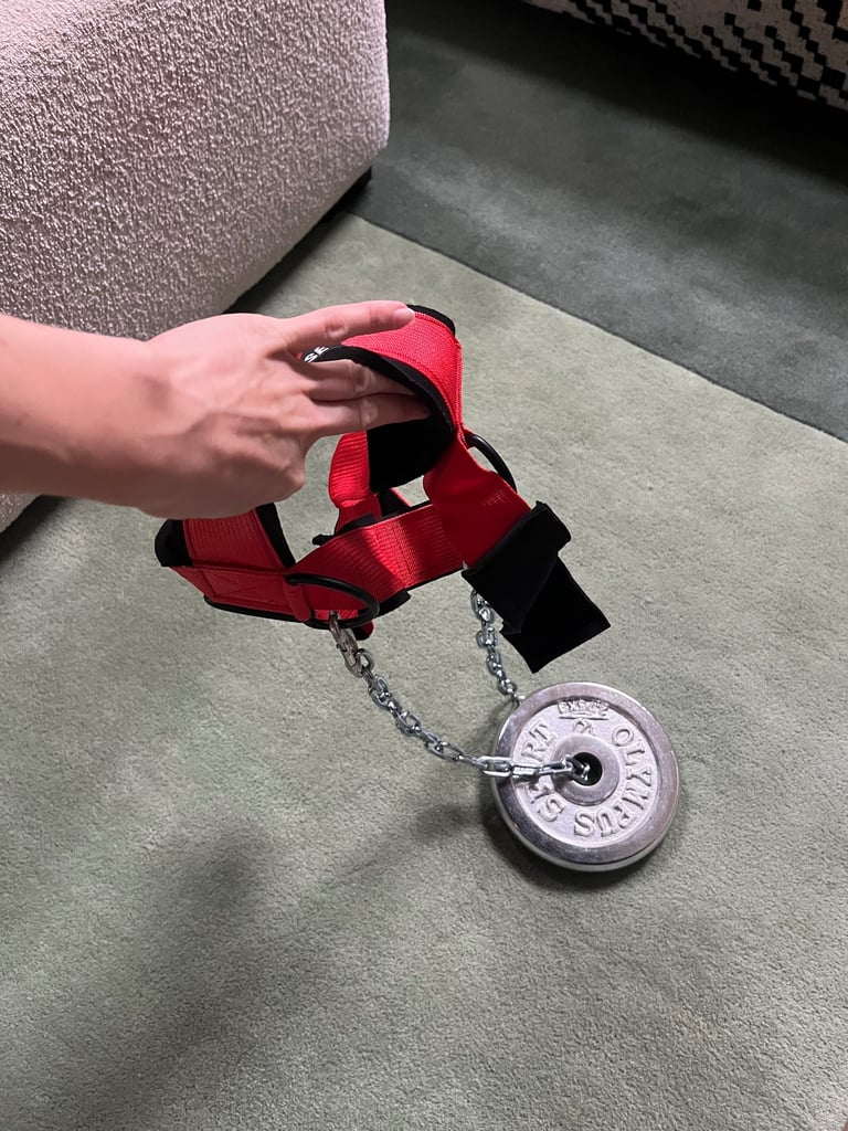 Dmoose neck harness with 2.75kg weight