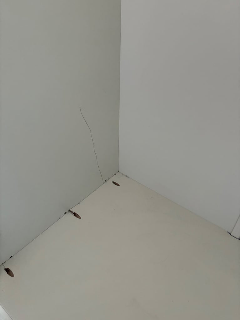 Free Marks And Spencer’s Wardrobe